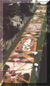 itri -10 edizione de -l'Infiorata-1995.jpg (44248 byte)